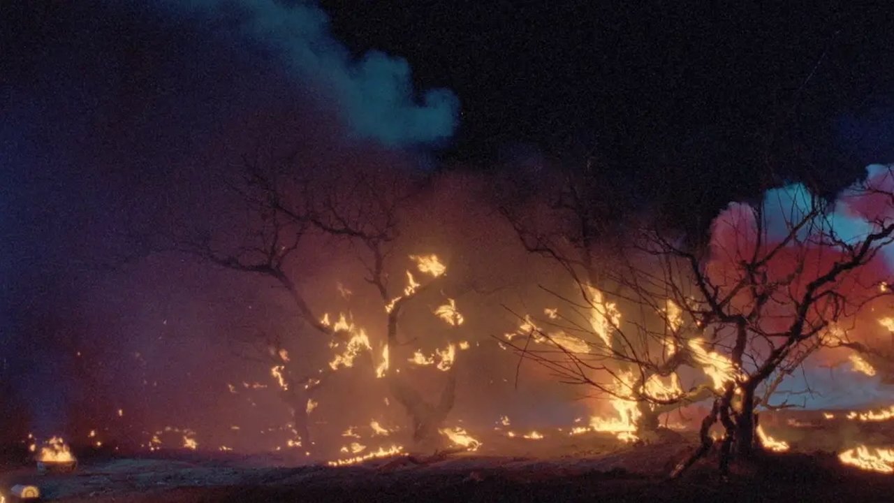 Painted Skin Background