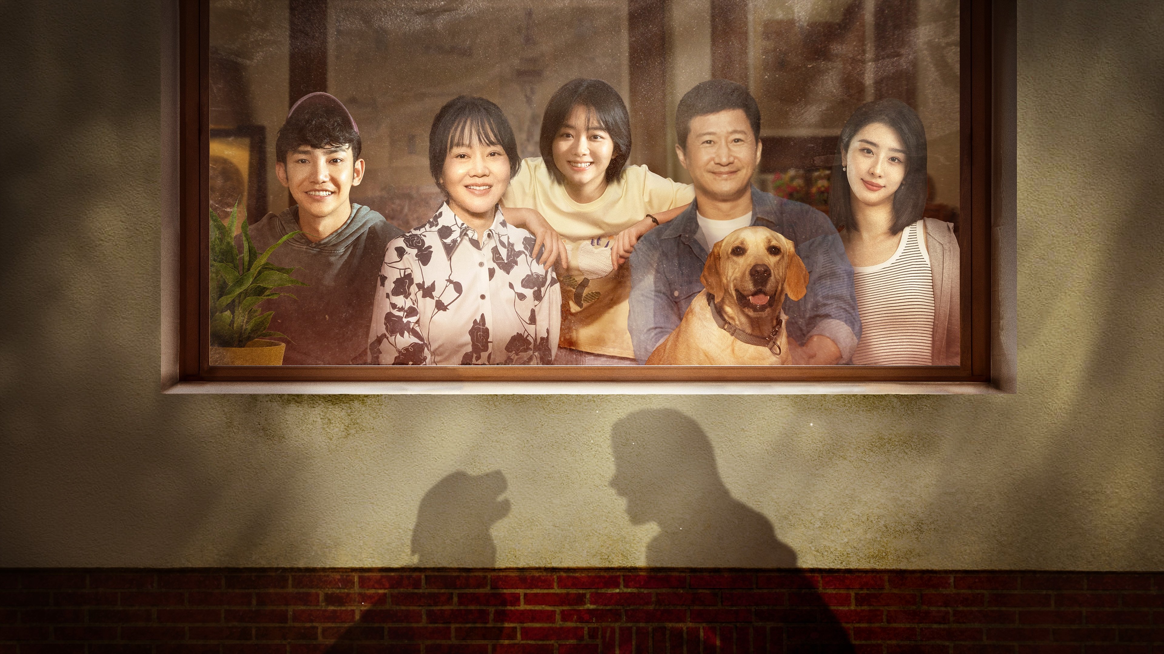 So Long for Love Background