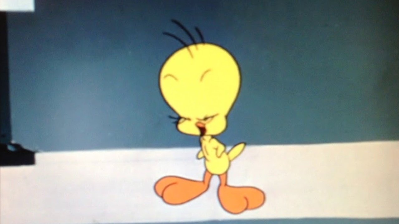 Tweet Tweet Tweety Background