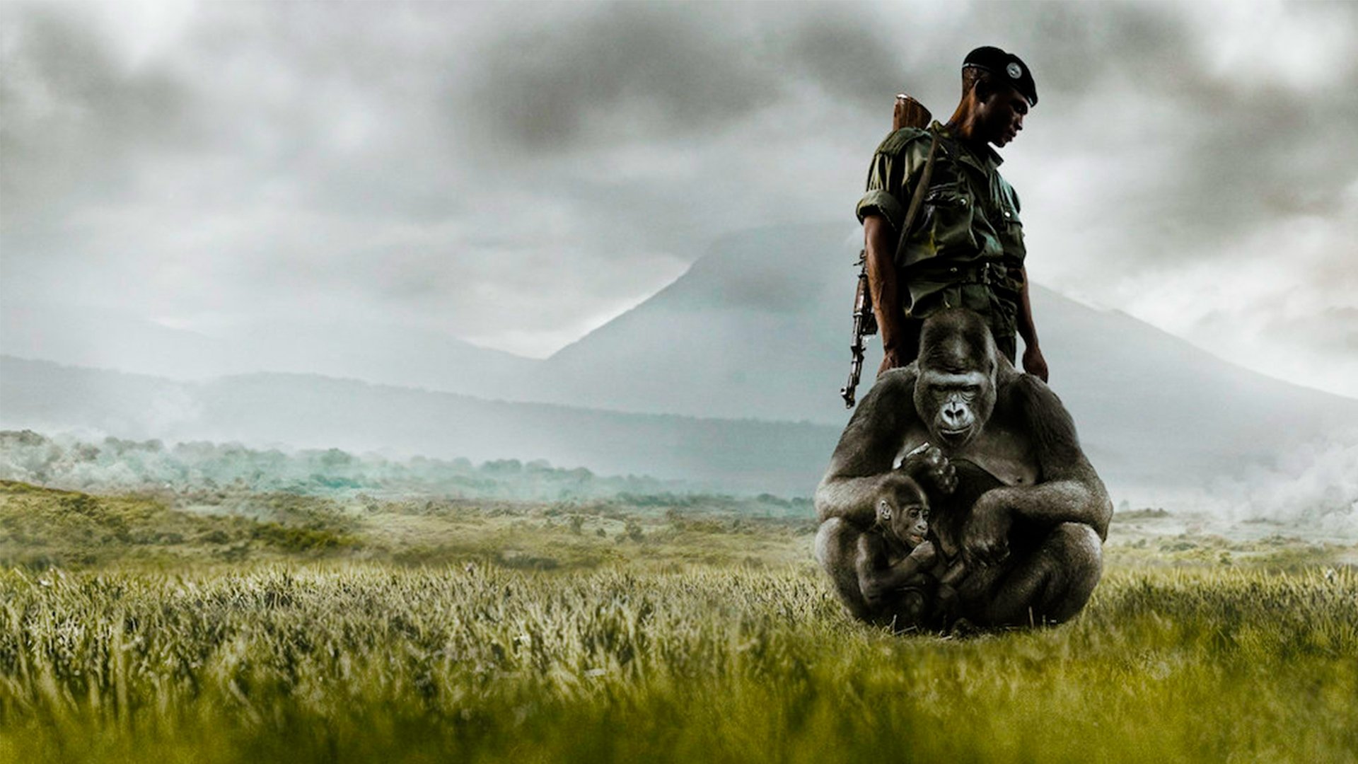 Virunga Background