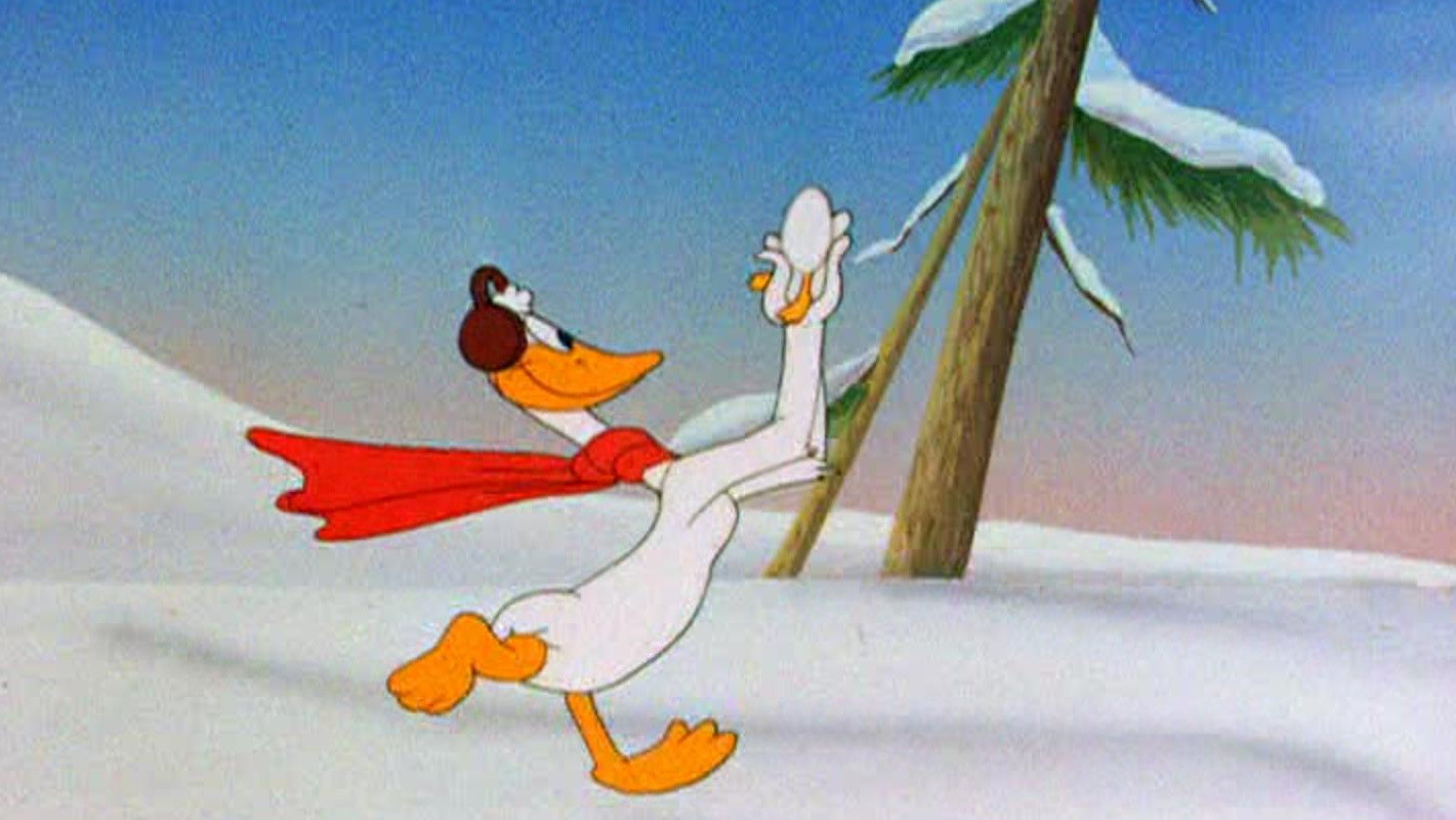 Booby Hatched Background