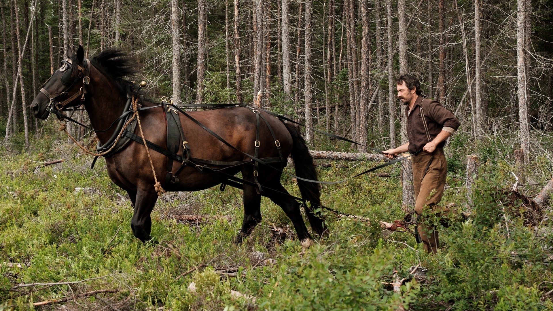 Maria Chapdelaine Background