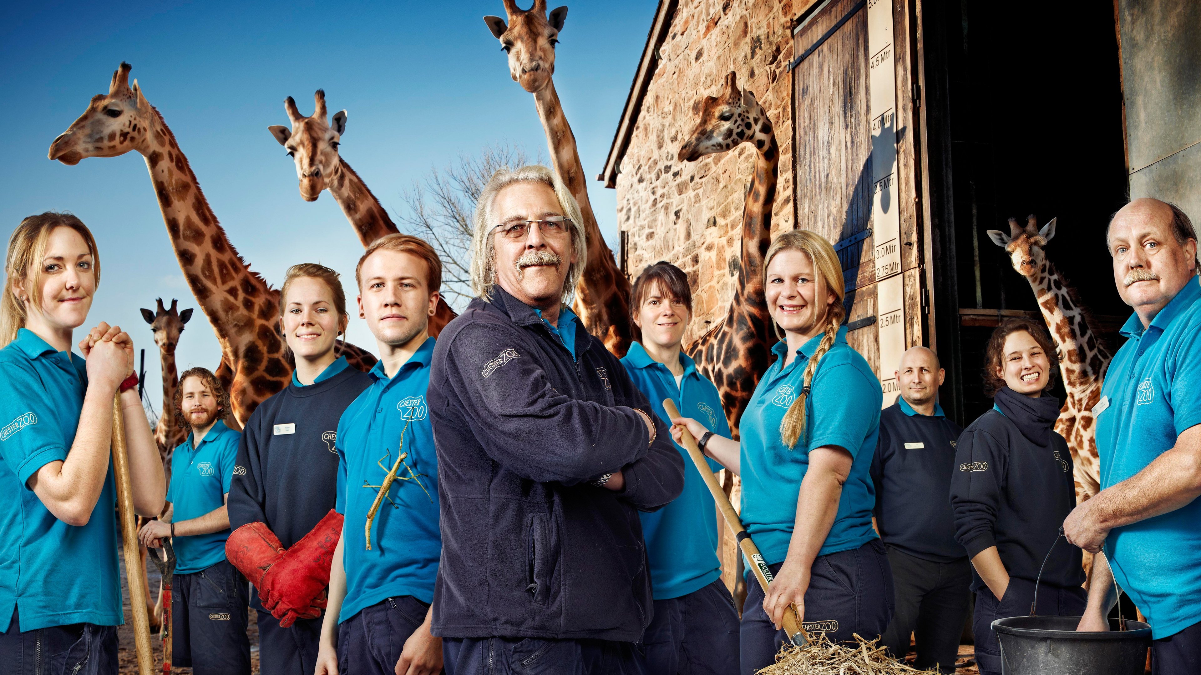 The Secret Life of the Zoo Background