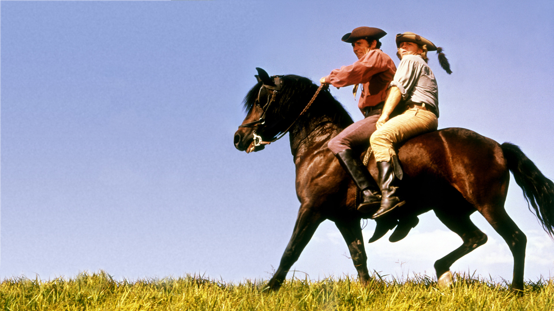 Justin Morgan Had a Horse Background