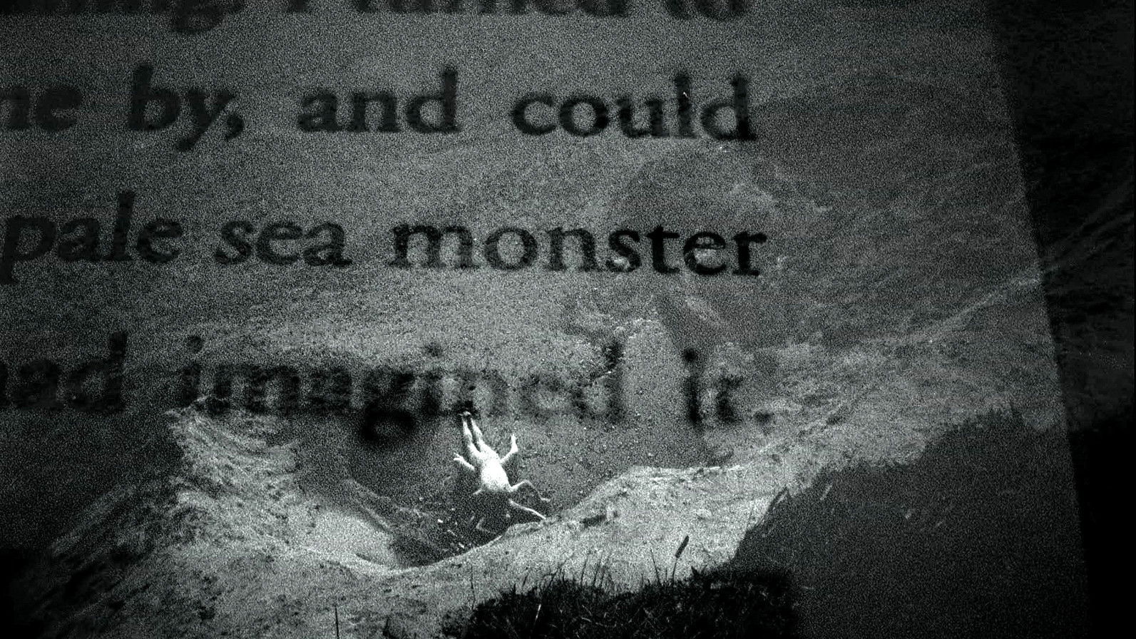 Patience (After Sebald) Background