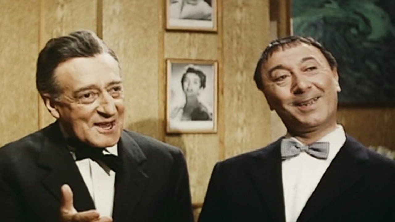 Toto at Night Background