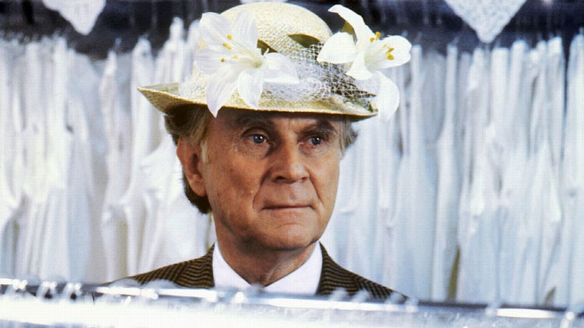 Pappa ante Portas Background