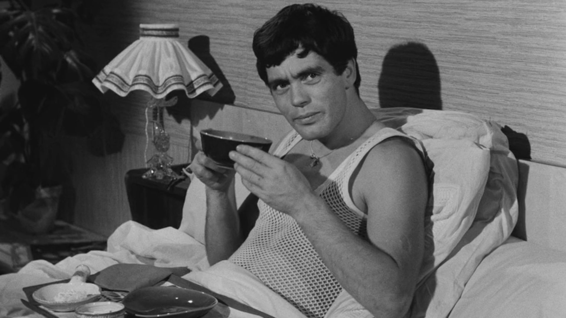 Chicken Feed for Little Birds Background