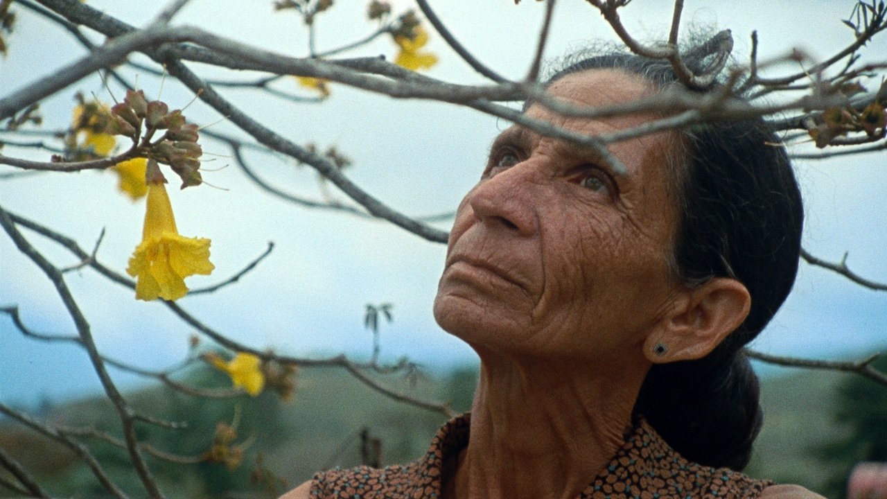 Pasta Negra Background