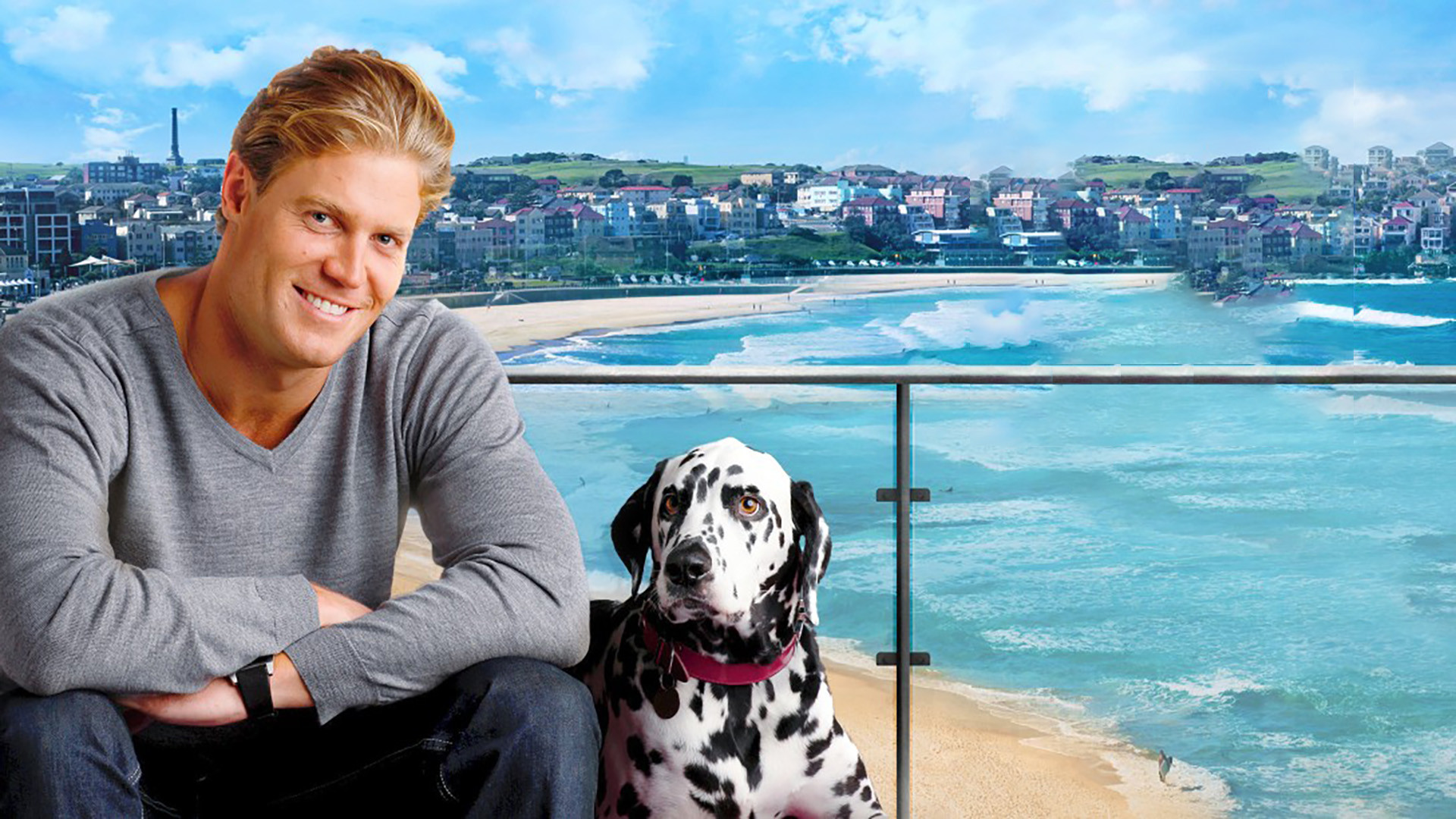 Bondi Vet Background