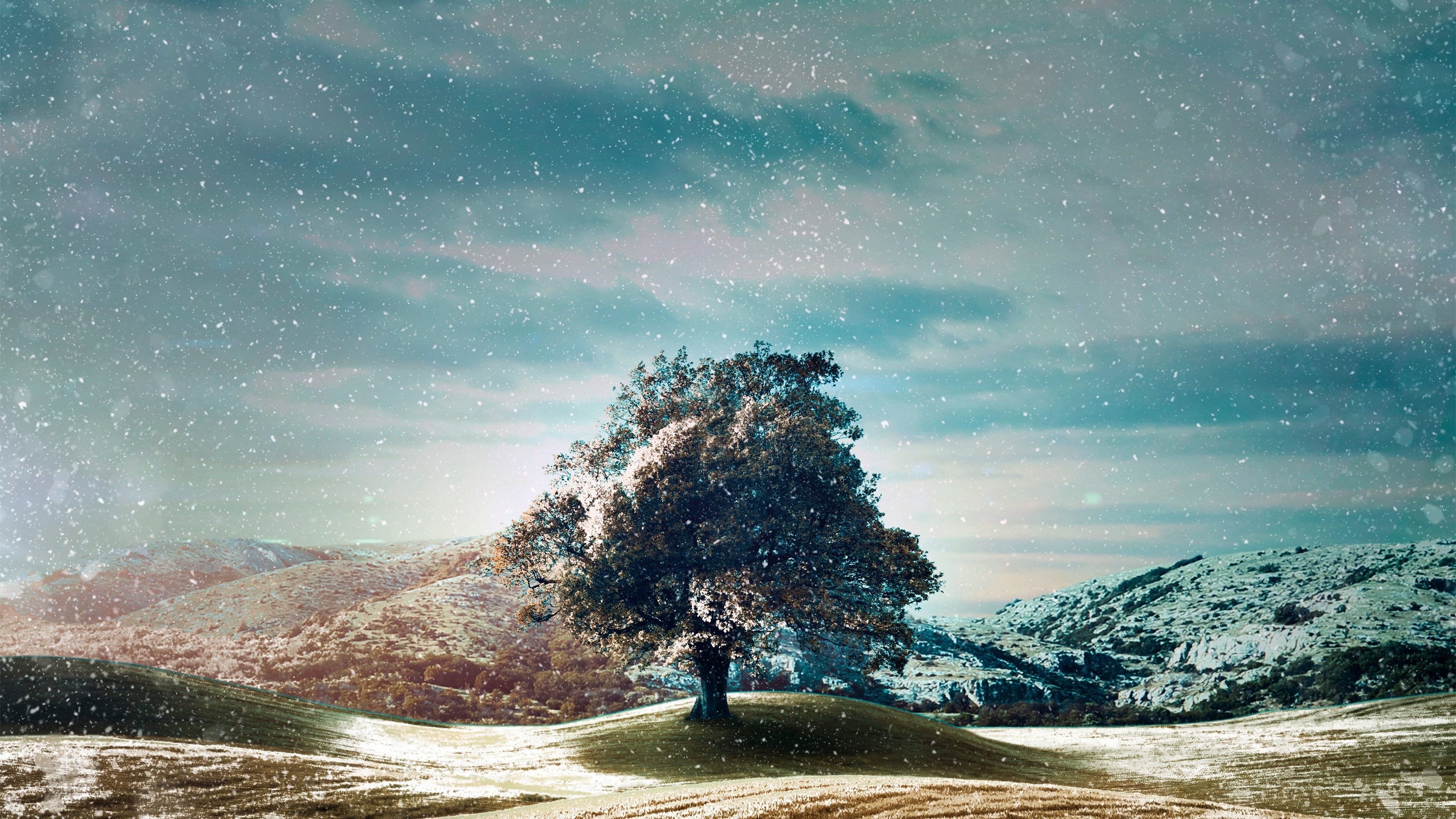 Who Do You Think You Are? Background