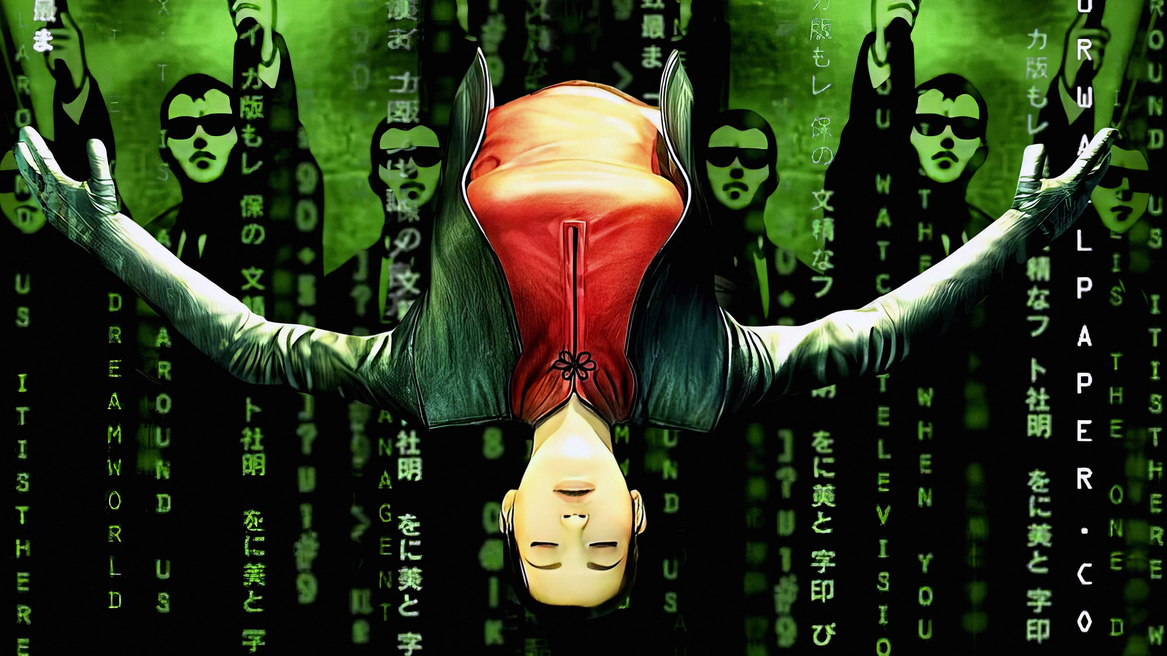 The Animatrix Background