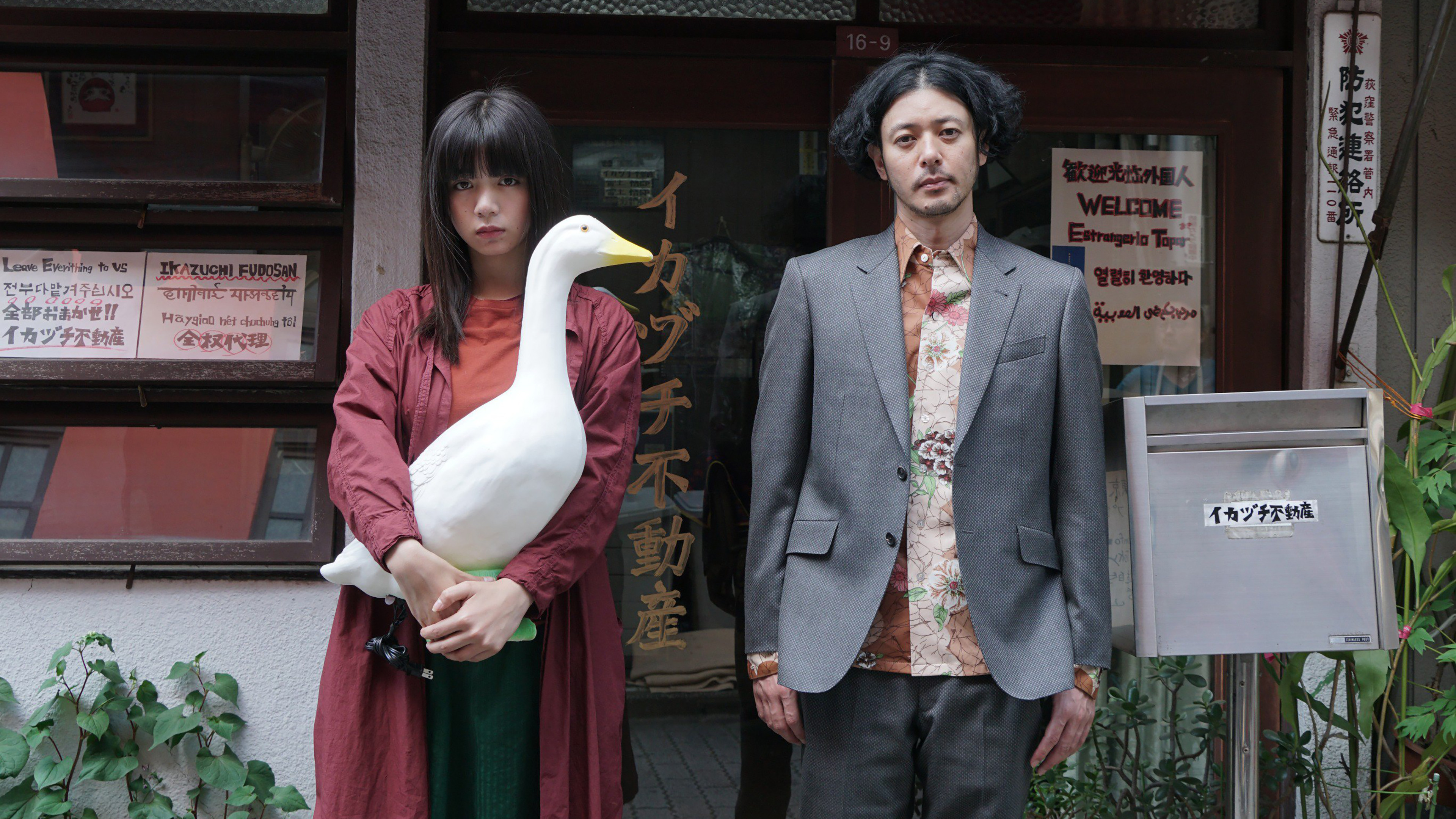 Room Laundering Background