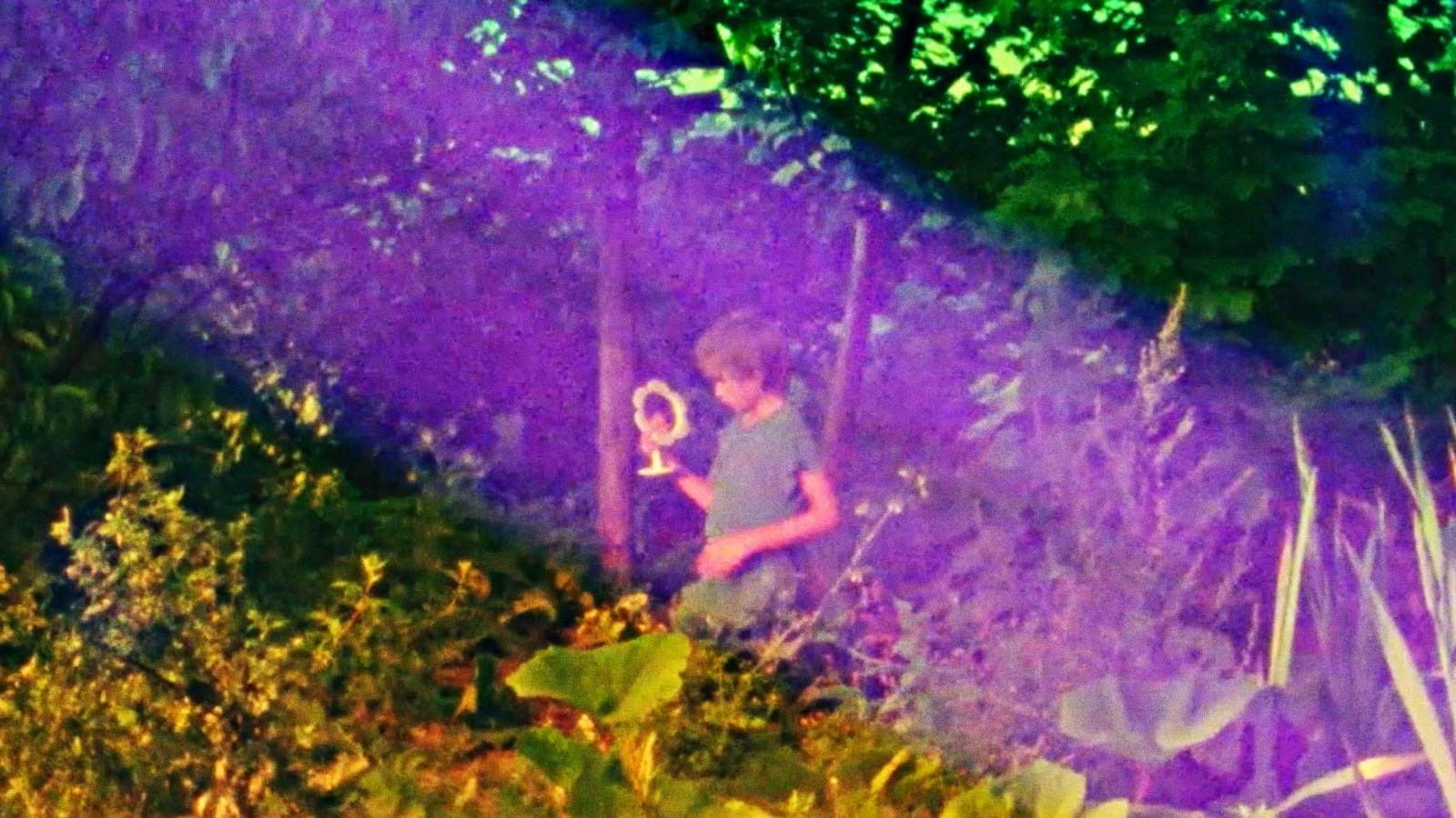 On Top of the Whale Background