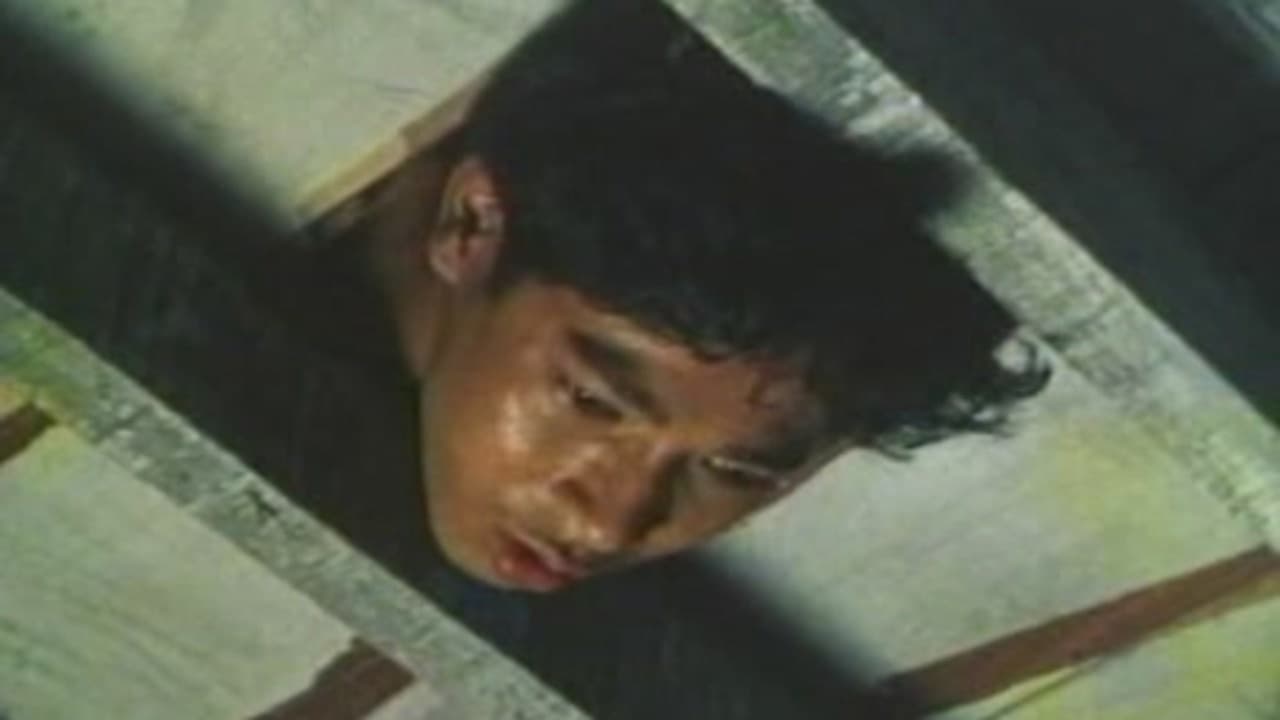 Scorpio Nights Background