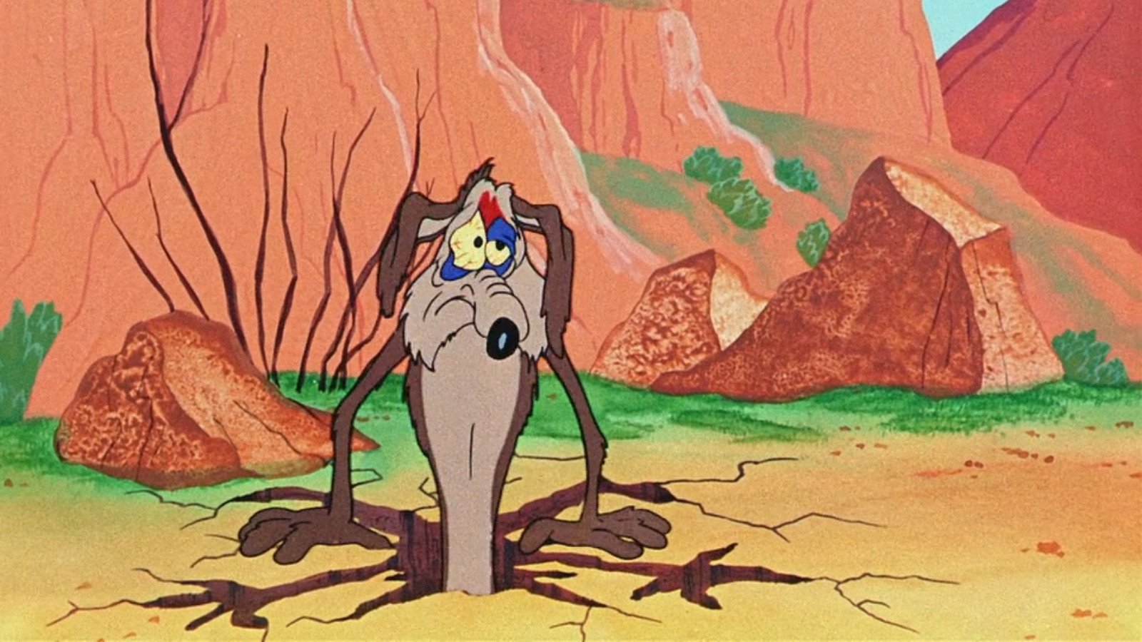 Beep, Beep Background