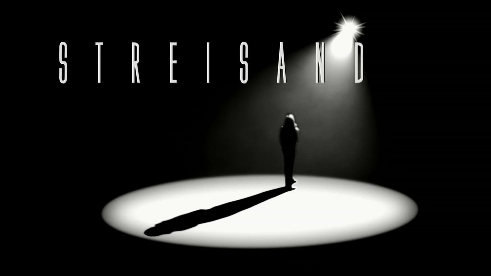 Streisand: Live in Concert 2006 Background