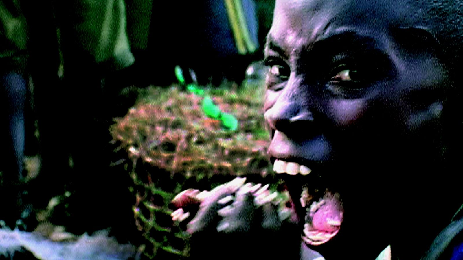 Darwin's Nightmare Background