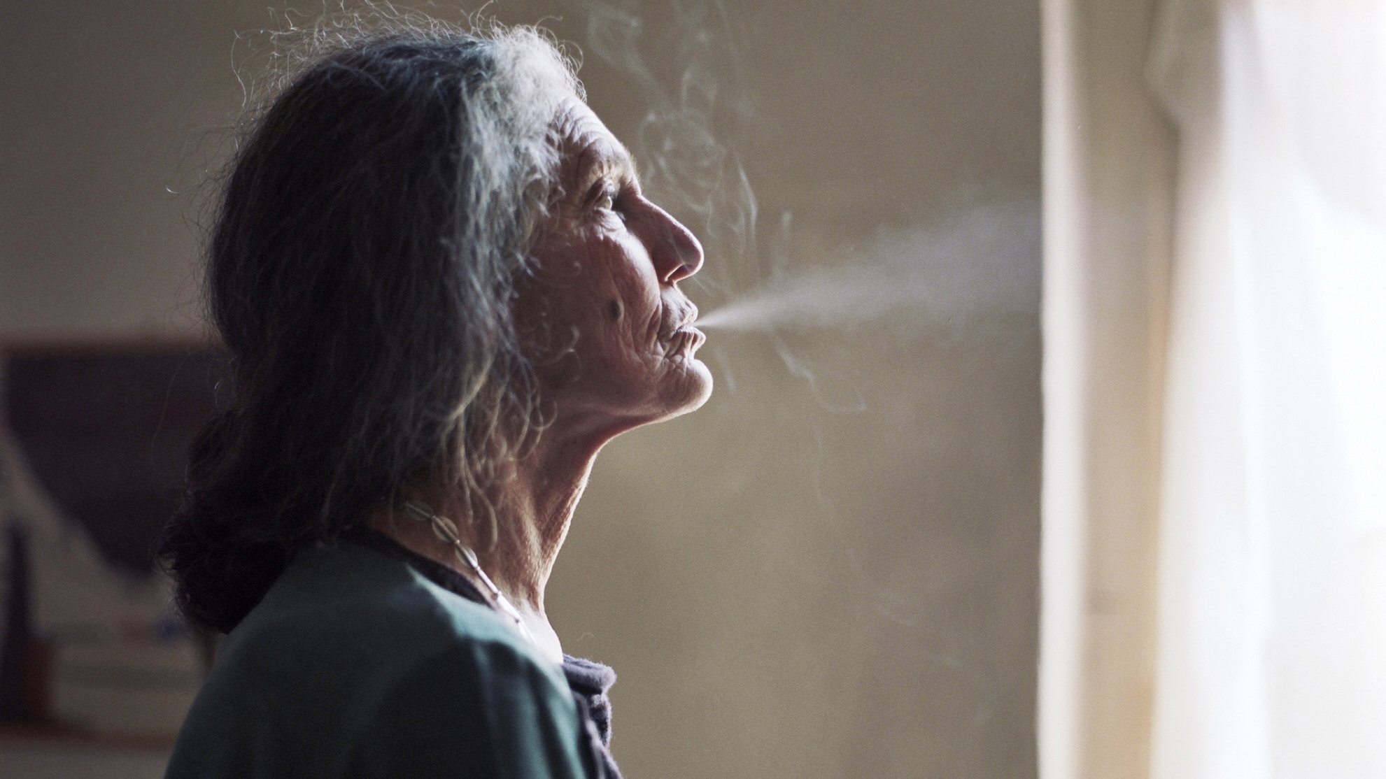 The Disappearance of My Mother Background