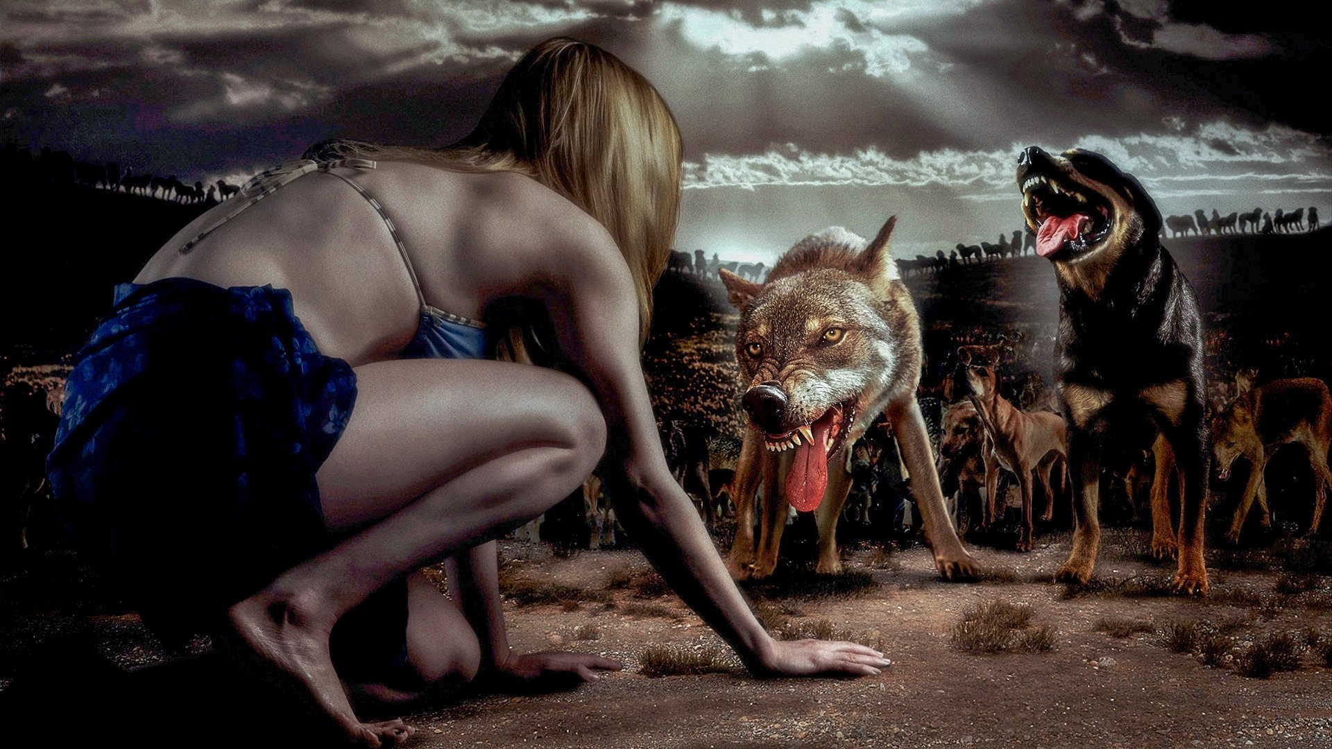 The Breed Background