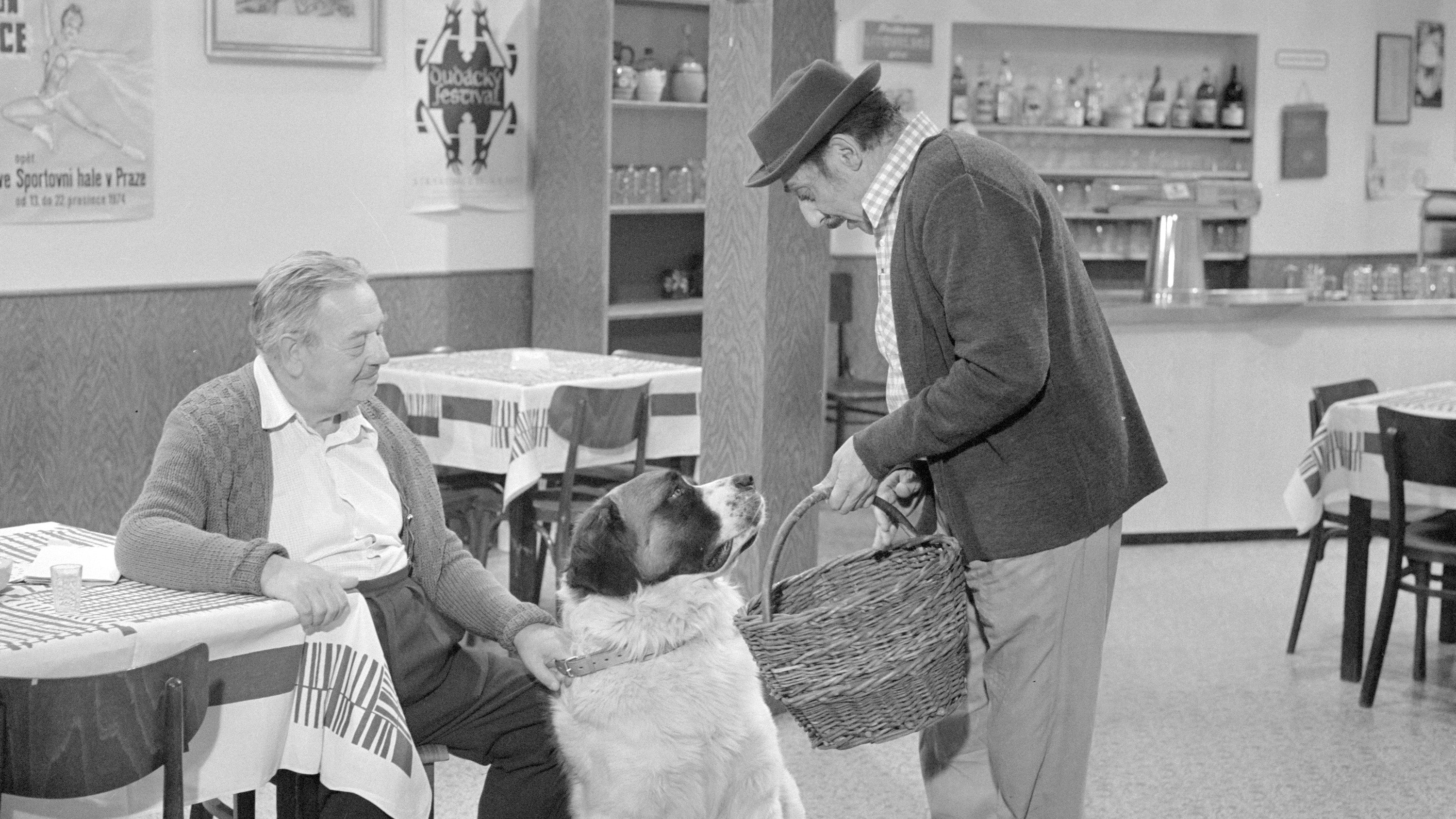 Bohoušův syn Background