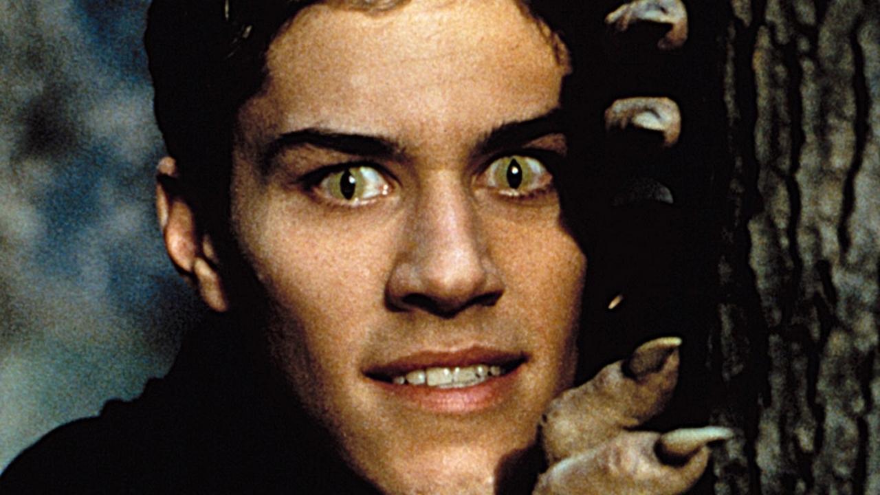 Big Wolf on Campus Background