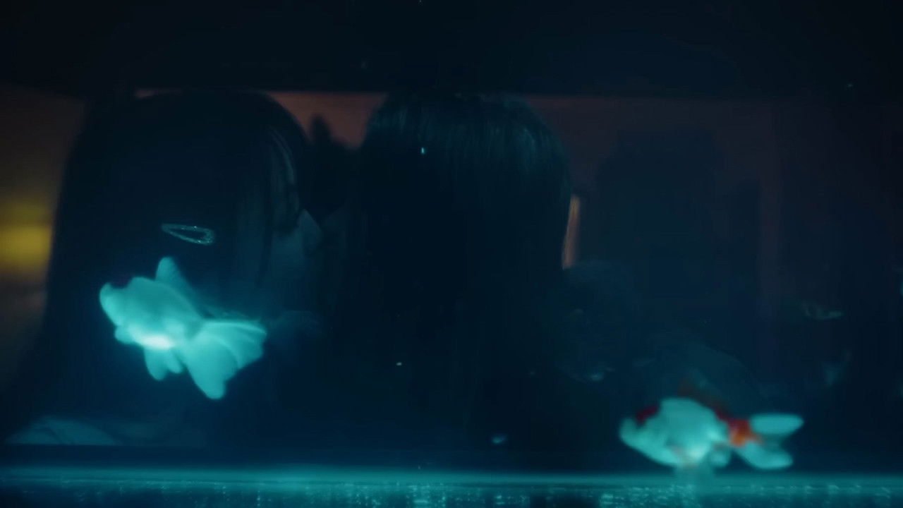 Lucky Fish Background