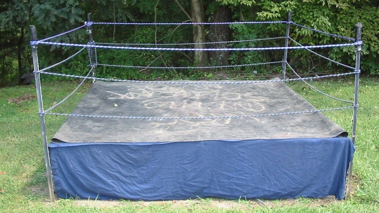 Backyard Dogs Background