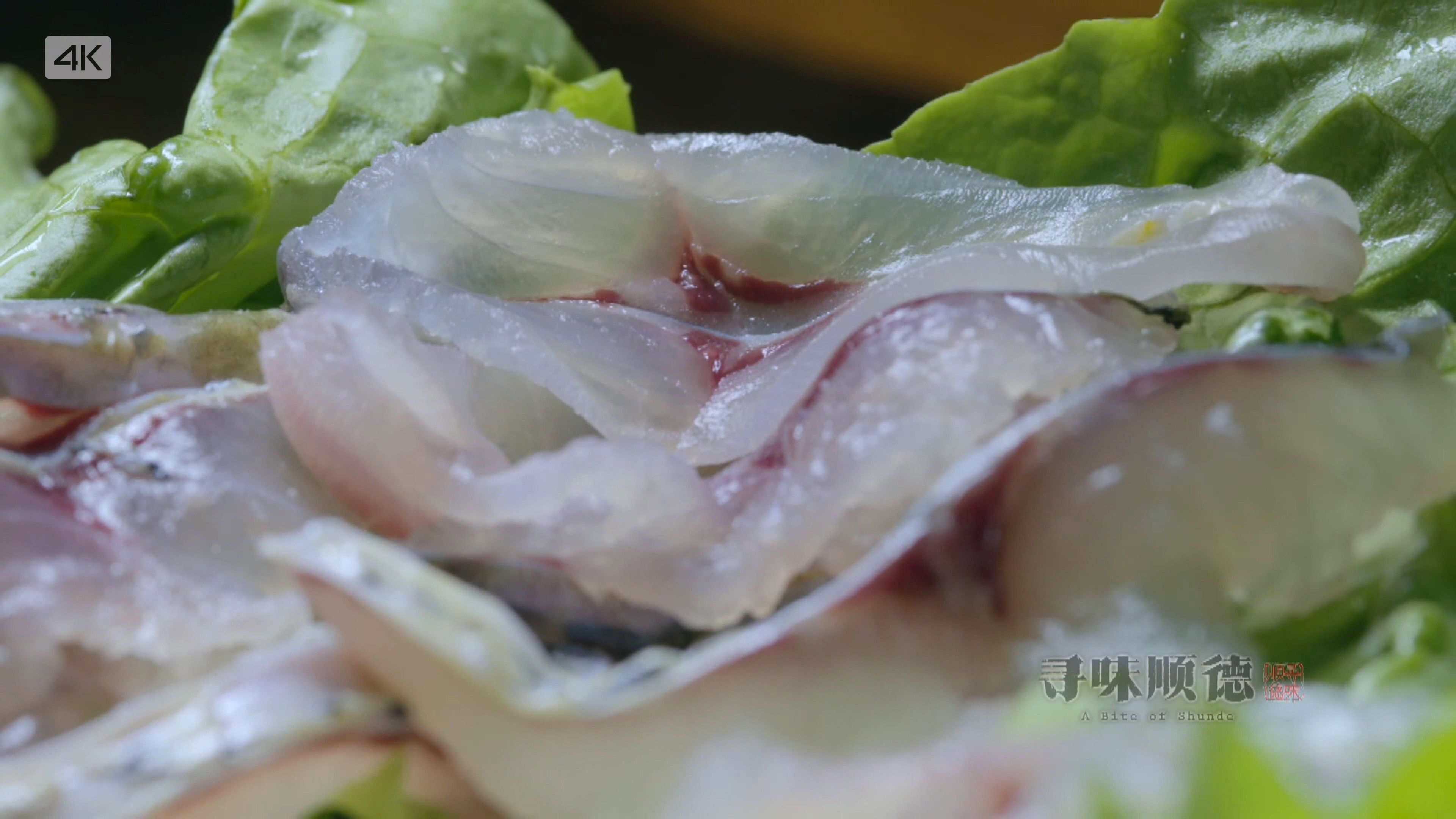 寻味顺德 Background