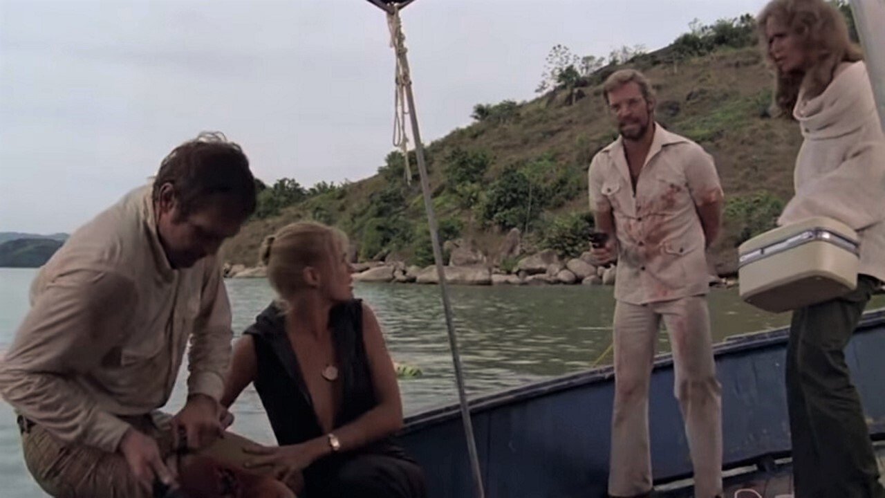 Killer Fish Background