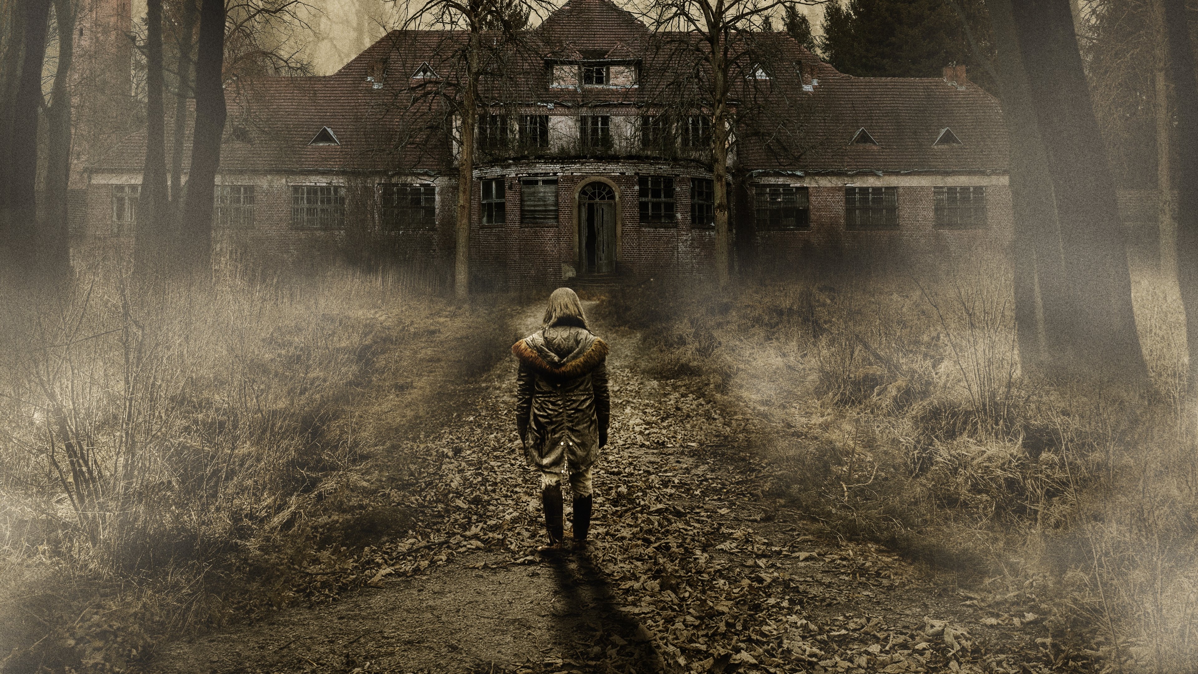 Haunted Hospital: Heilstatten Background