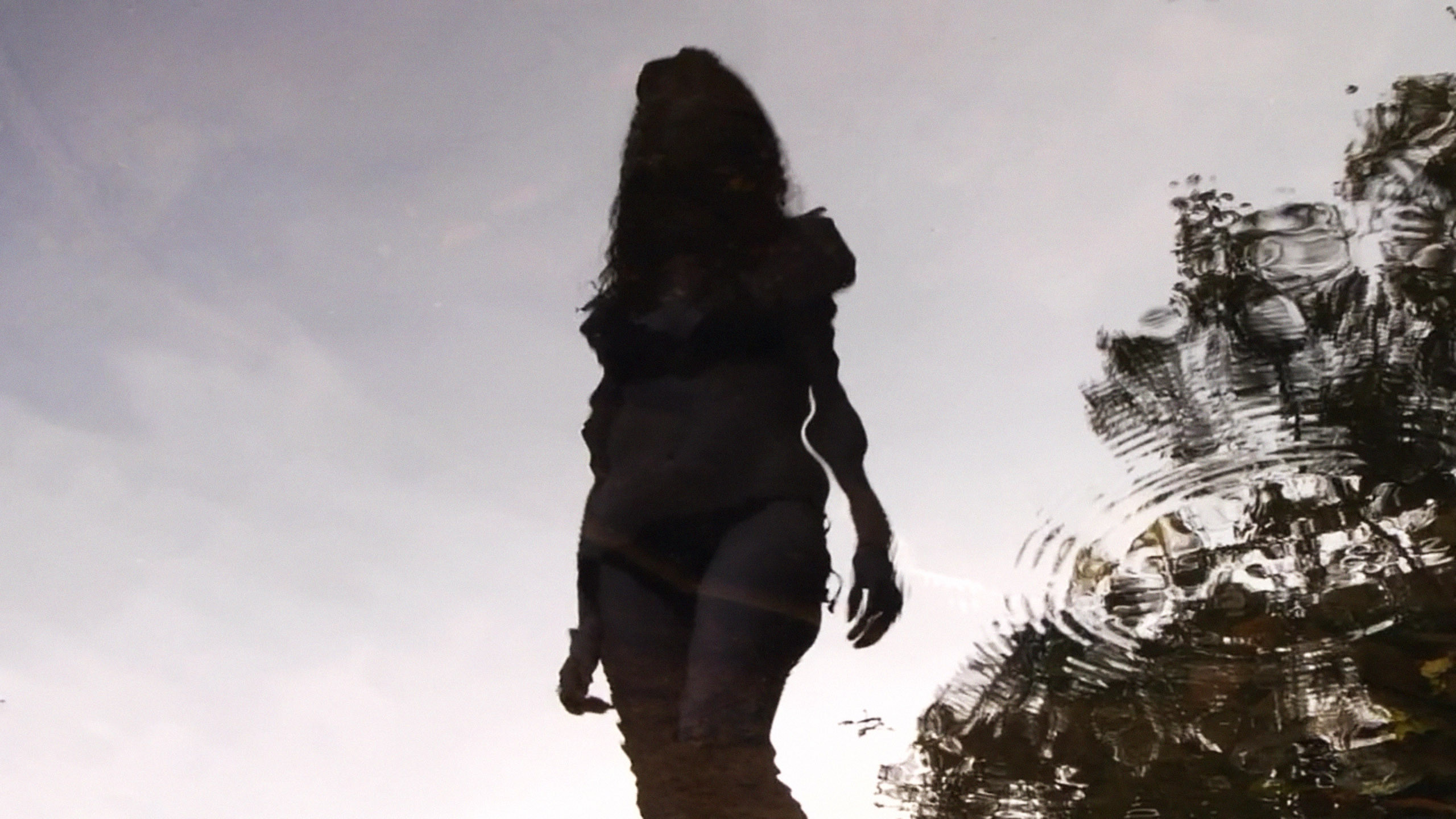 Toad Road Background