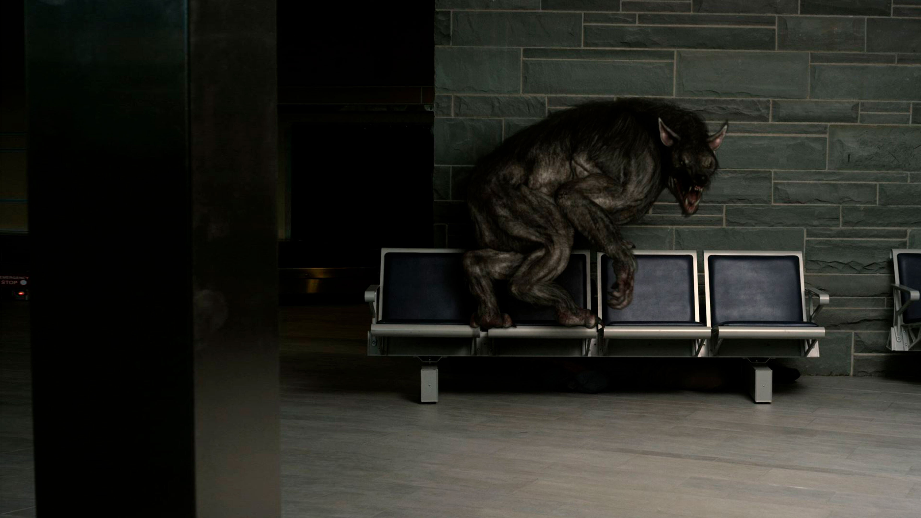 Battledogs Background