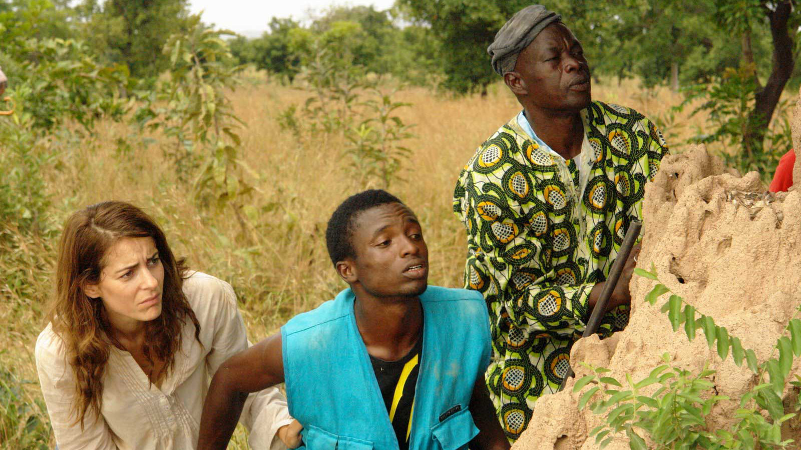 The Secret of the Ant Children Background