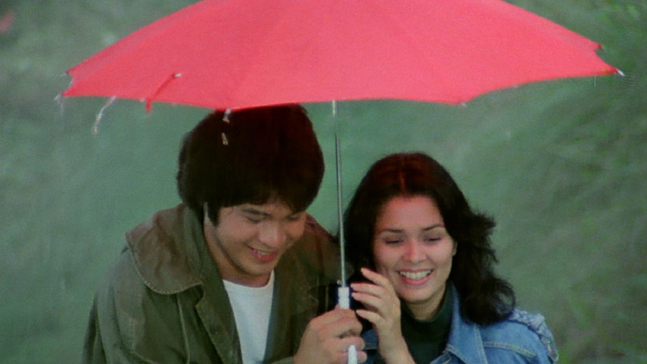 Moments in a Stolen Dream Background