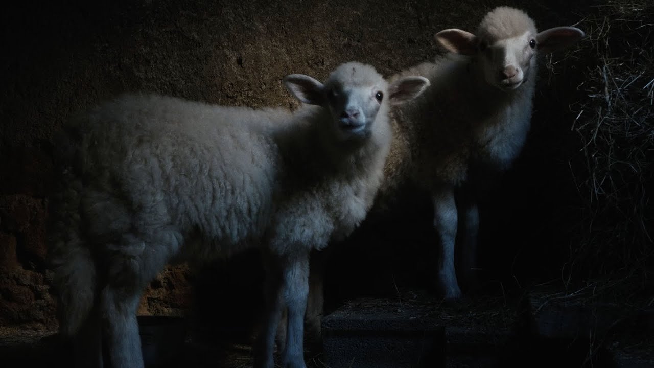 Agnus Dei Background