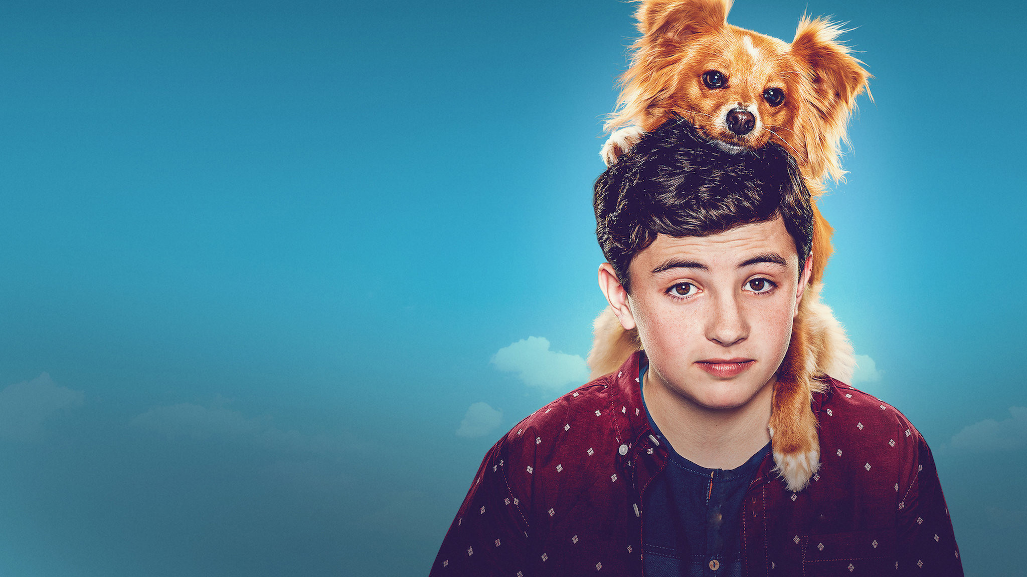 The Healing Powers of Dude Background