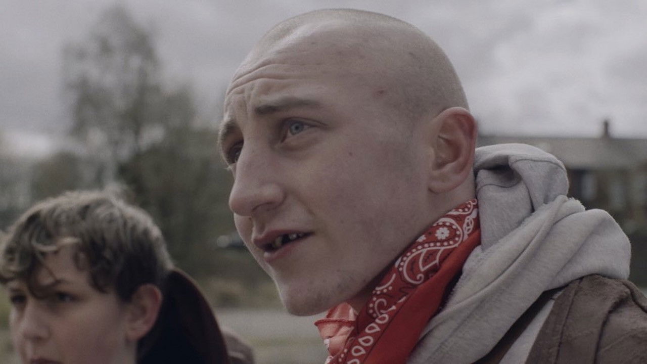 Dog Factory Background