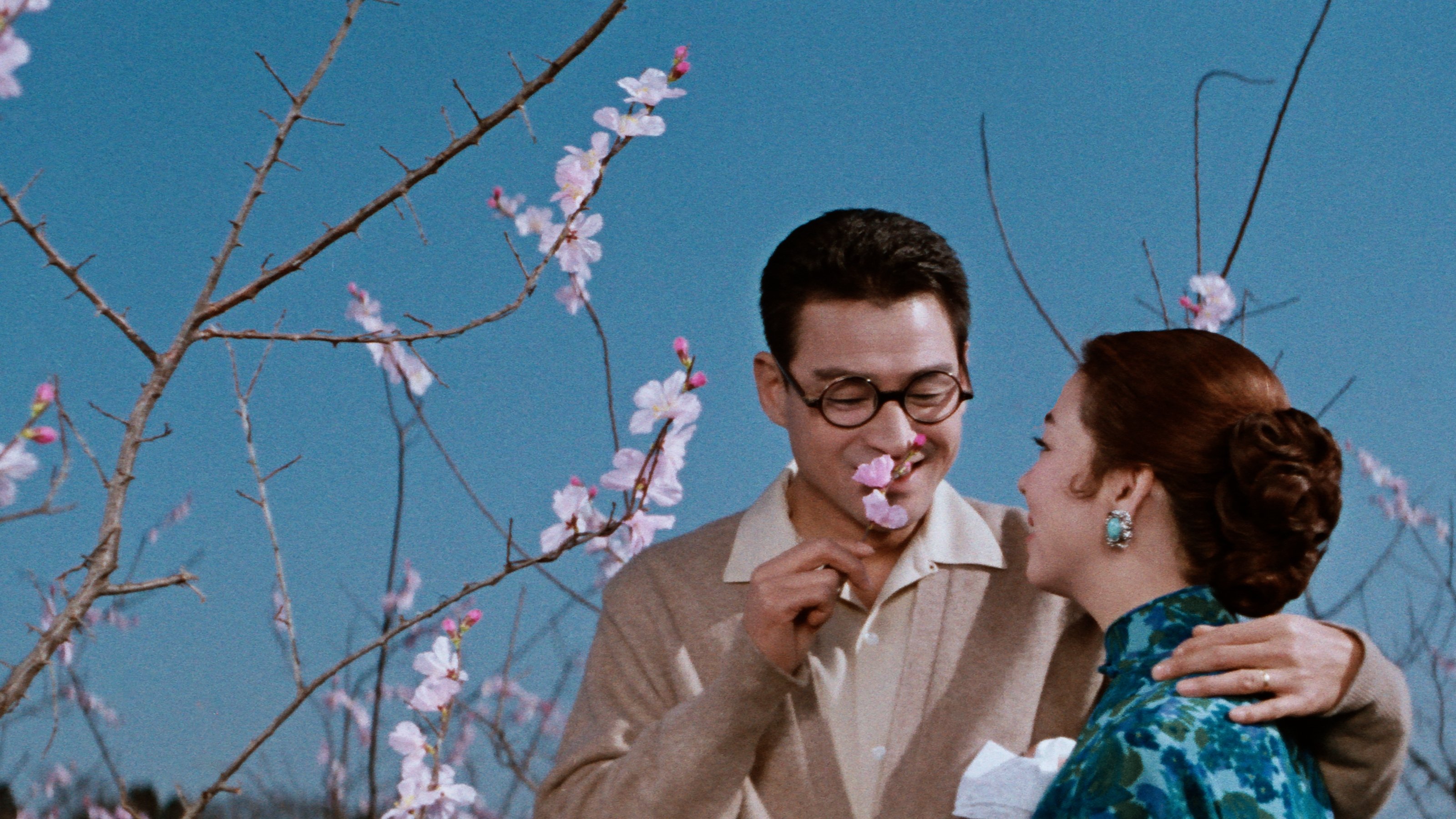 The Wandering Princess Background