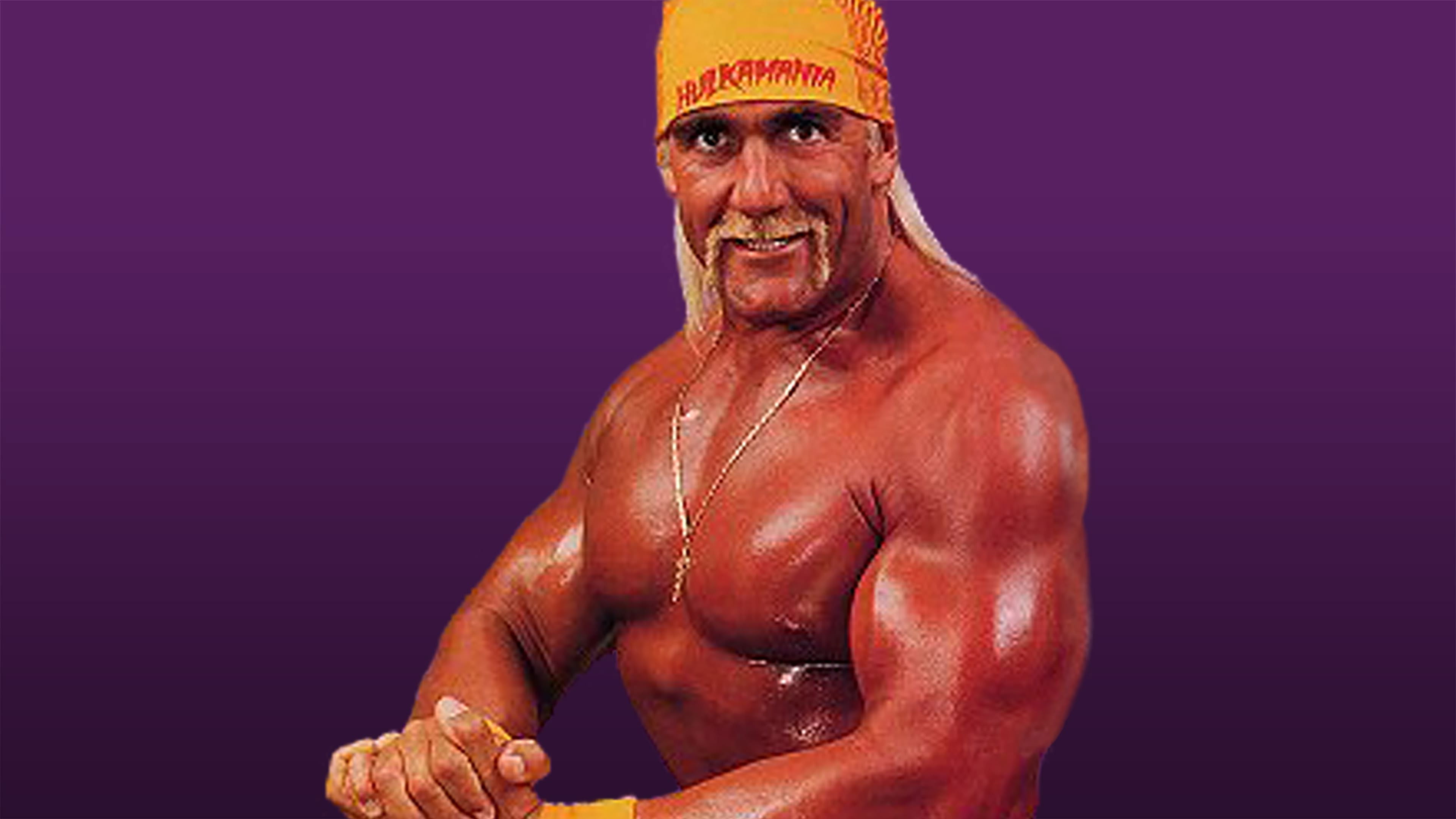 WWE King of the Ring 1993 Background