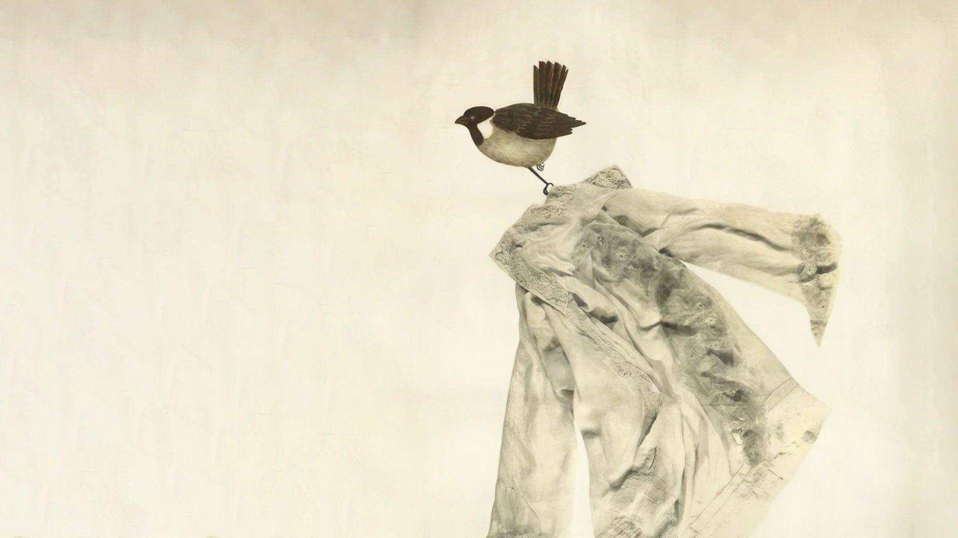 Migrating Sparrows Background