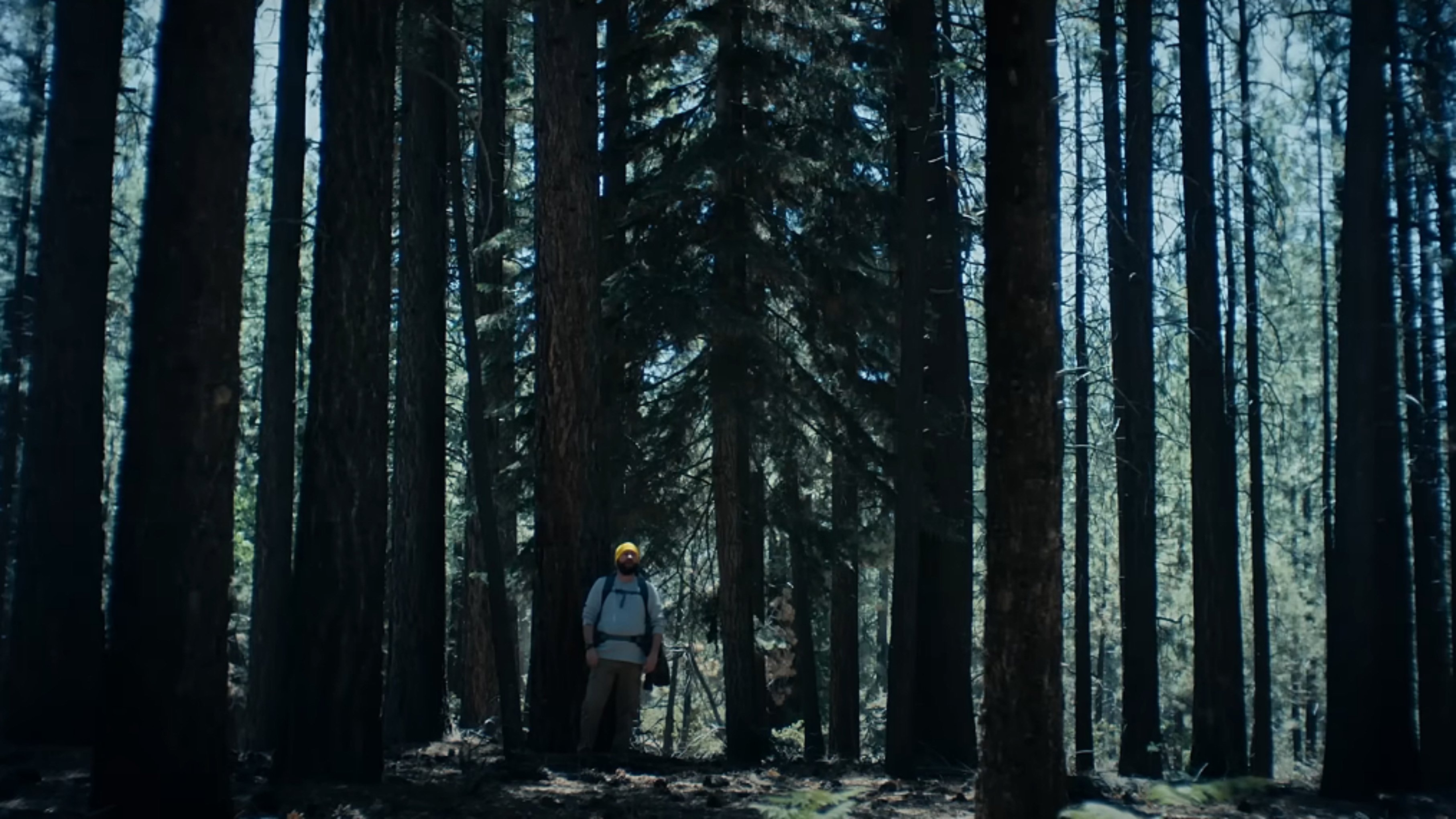 The Hidebehind Background