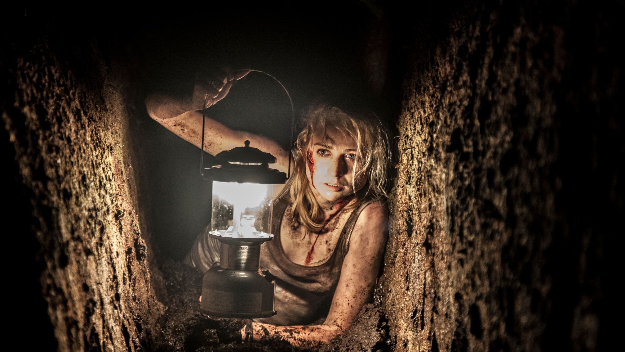 From the Dark Background