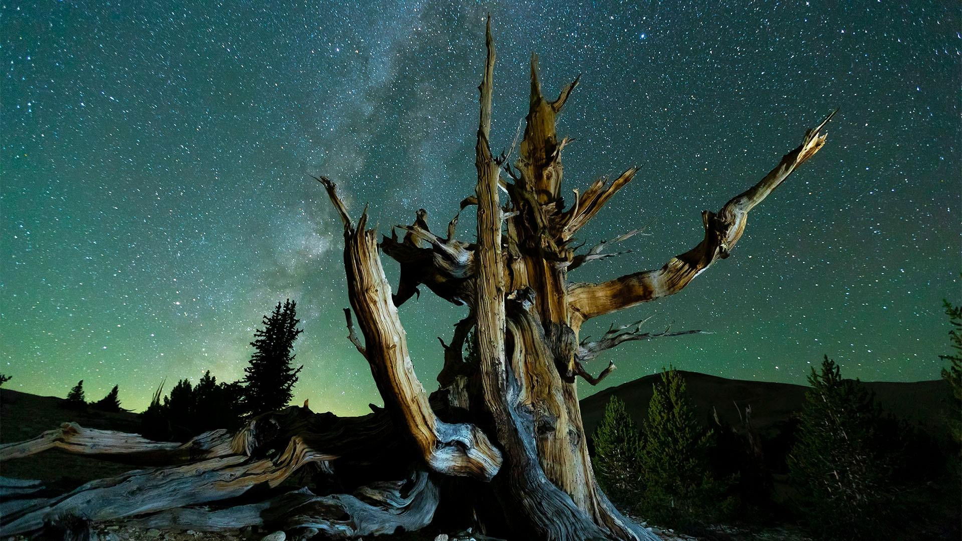 Planet California Background