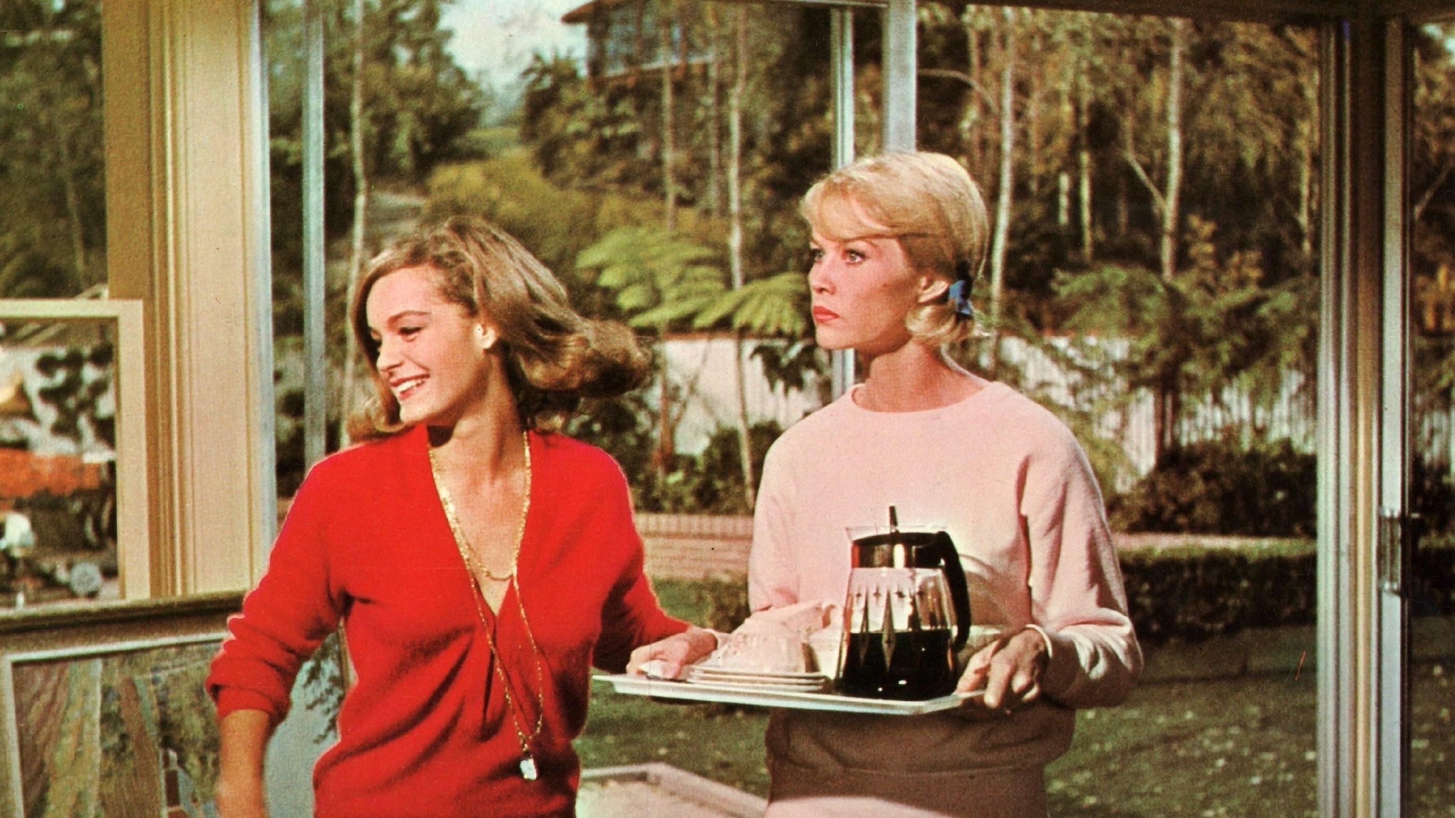 Good Neighbor Sam Background