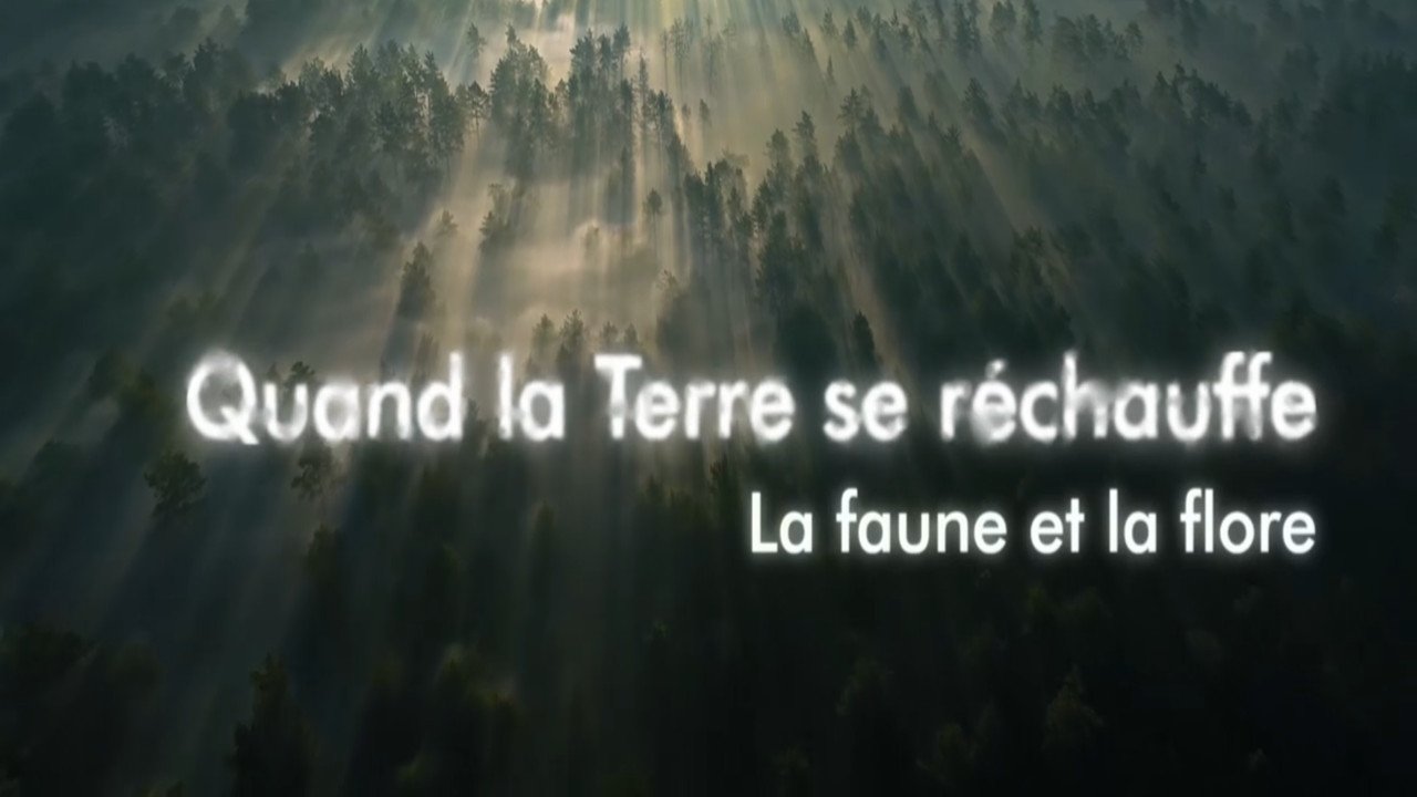 Quand la Terre se réchauffe - La faune et la flore Background