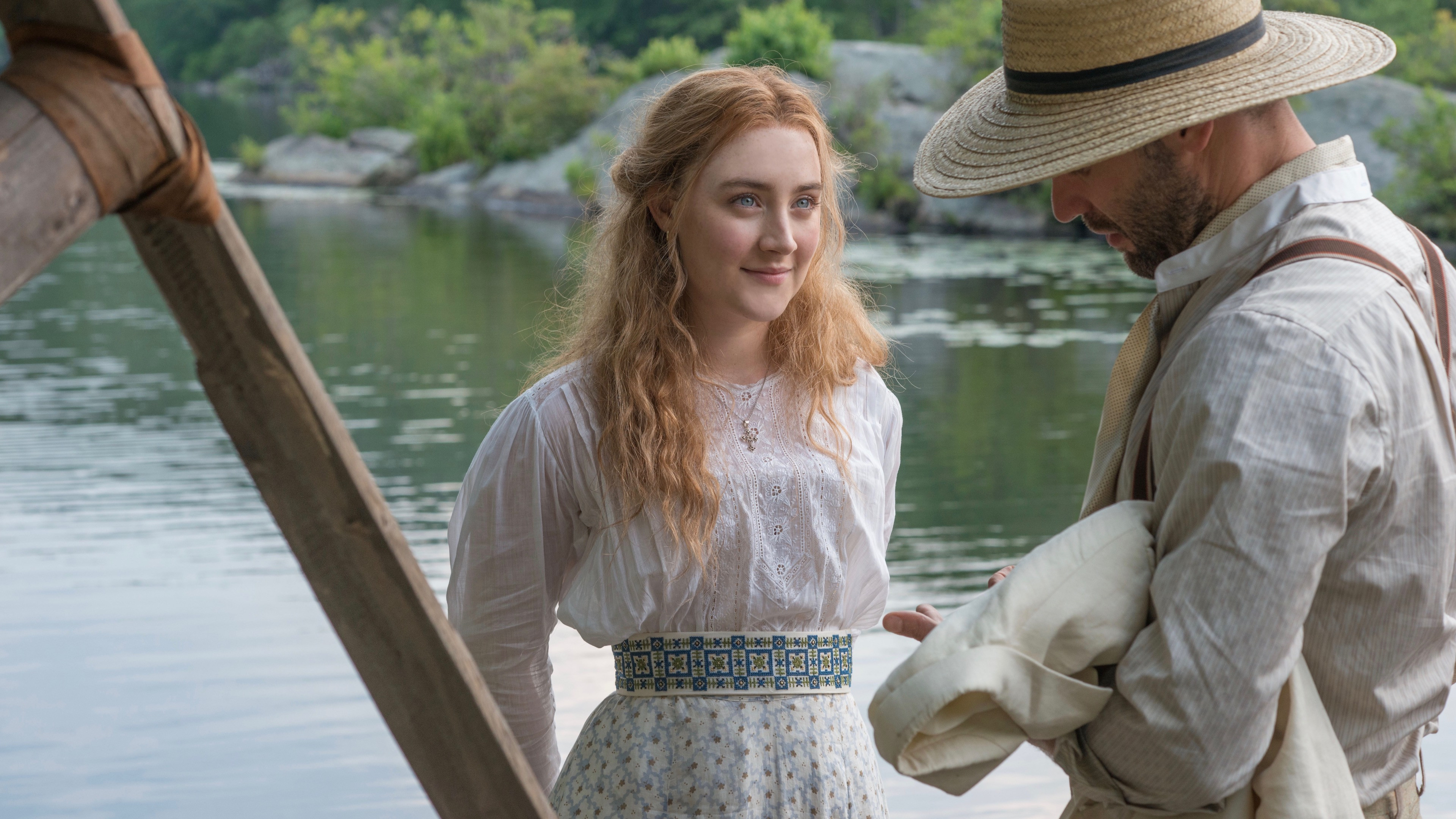 The Seagull Background