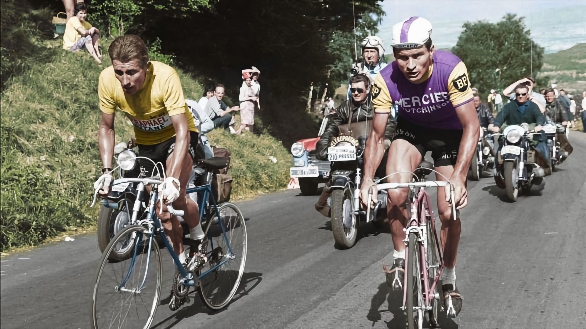 Poulidor 1er Background