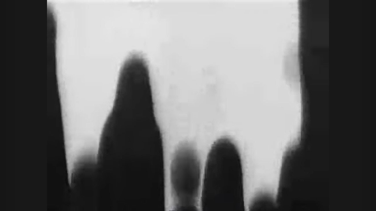 Inhabitants Background