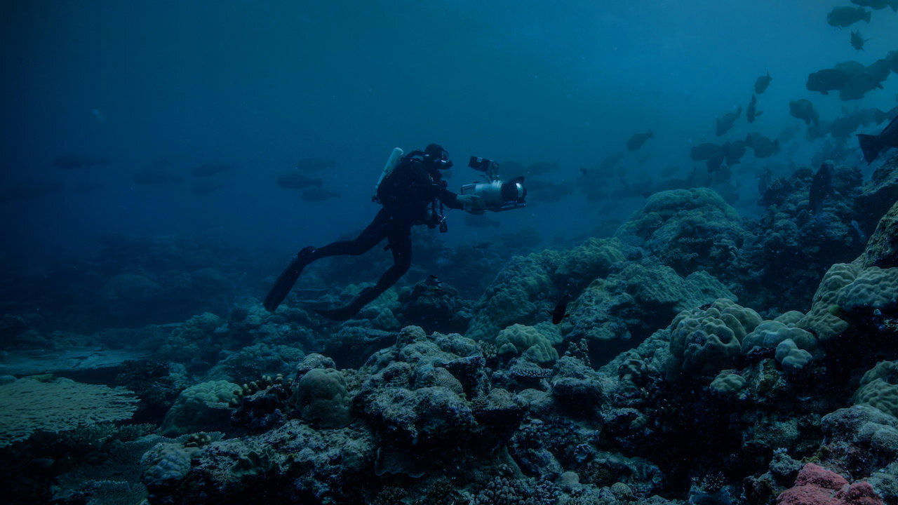 Night on Earth: Shot in the Dark Background